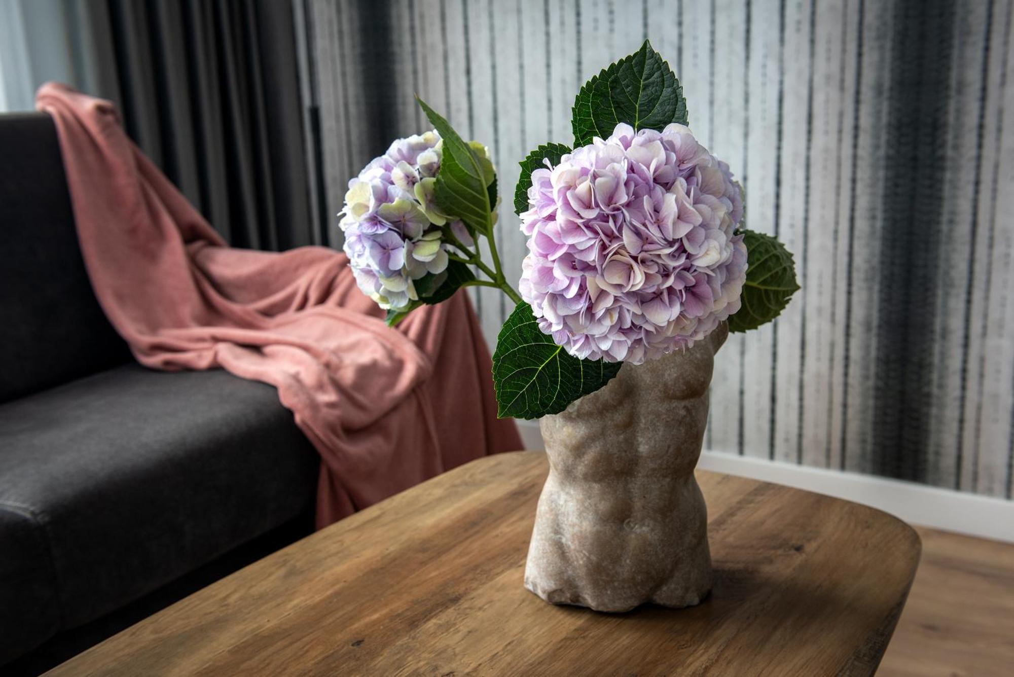 Inpoint Spacious Apartments Near Main Square & Kazimierz District Krakov Pokoj fotografie